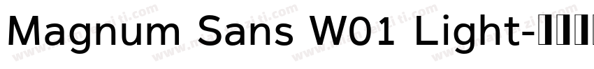 Magnum Sans W01 Light字体转换